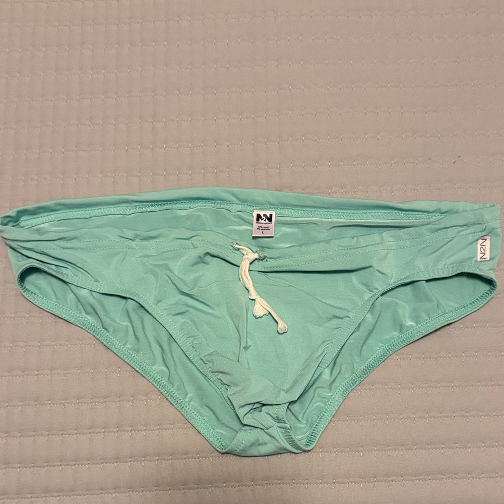 Mint Green men’s N2N Speedo